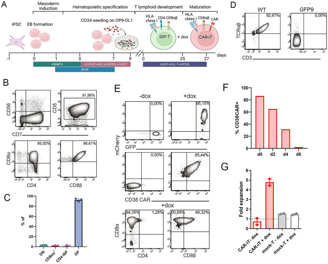 Figure 2