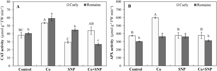 Figure 5