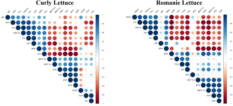 Figure 6