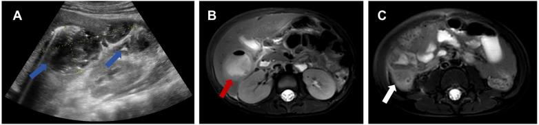 Figure 1