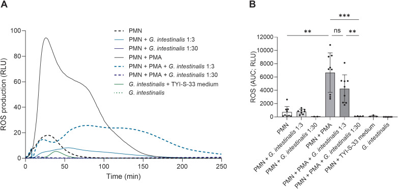 Figure 5