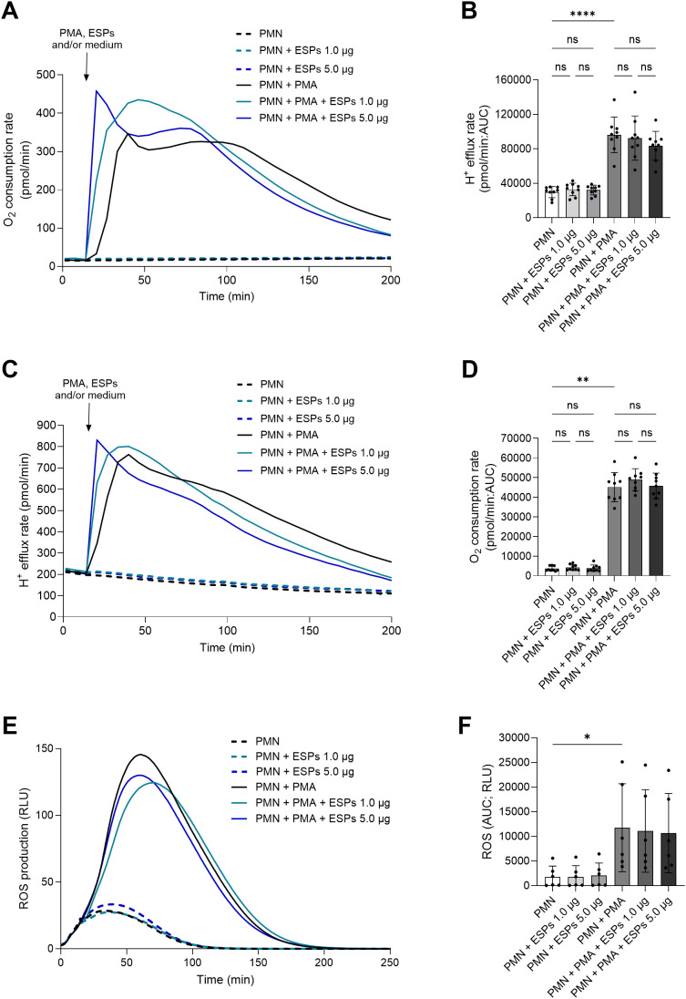 Figure 6