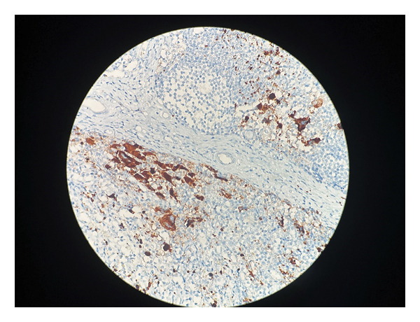 FIGURE 4
