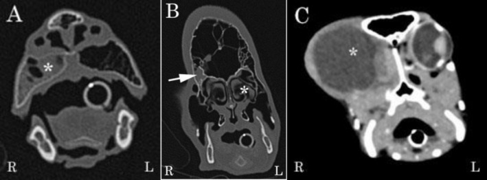 FIGURE 2