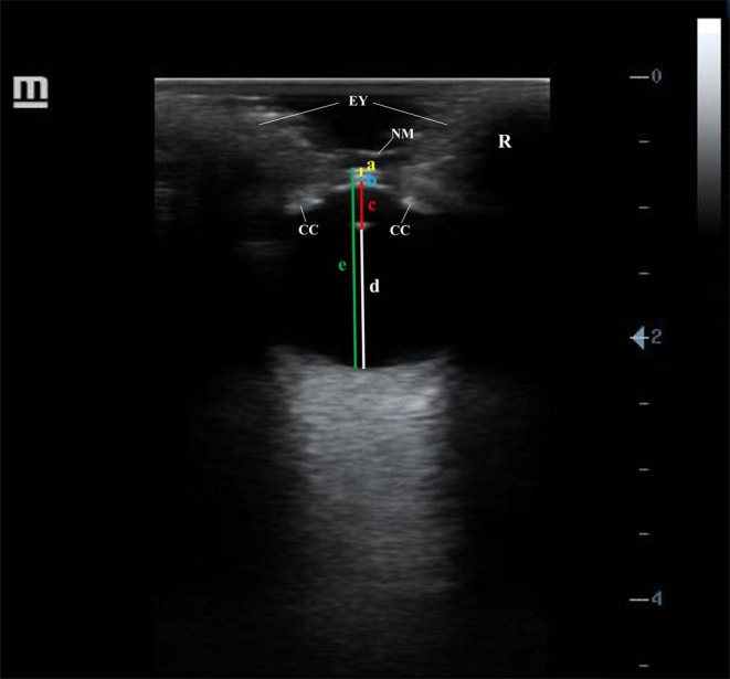 FIGURE 2