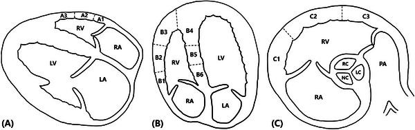 FIGURE 2