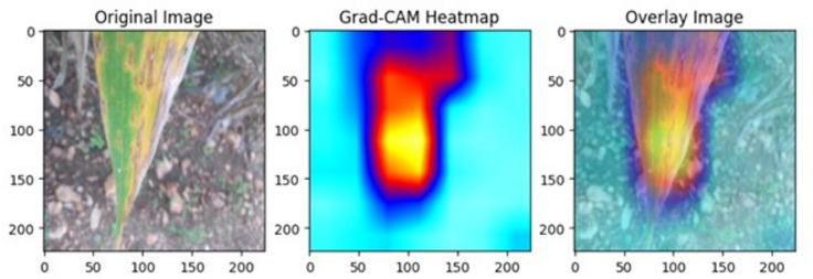 Figure 10
