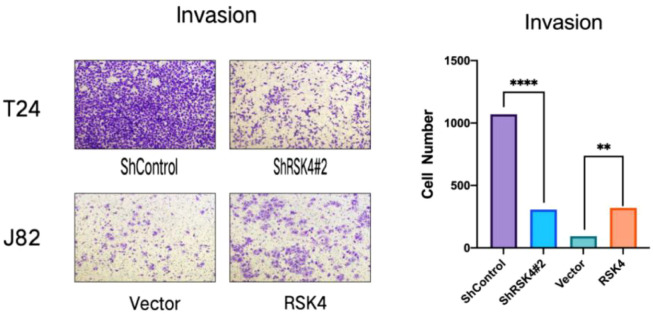 Figure 6