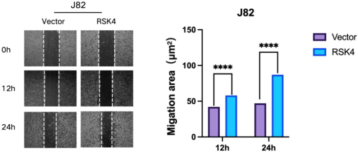 Figure 7