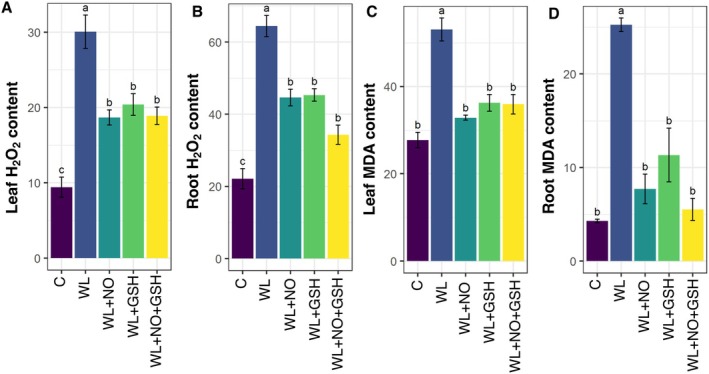 FIGURE 3
