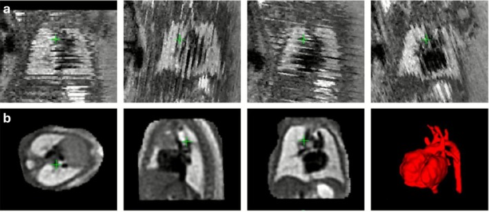 FIGURE 13