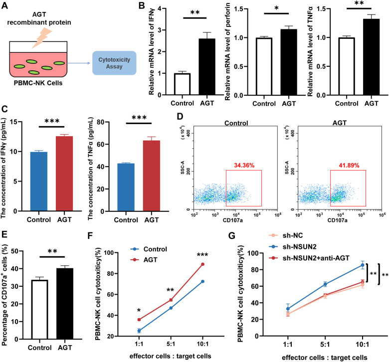 Figure 6