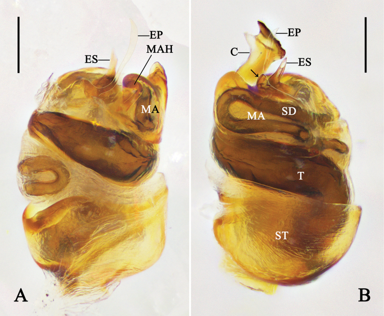 Figure 7