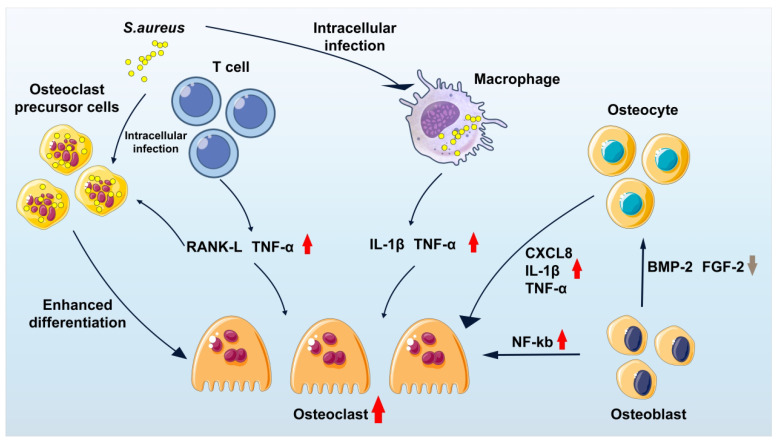 Figure 10