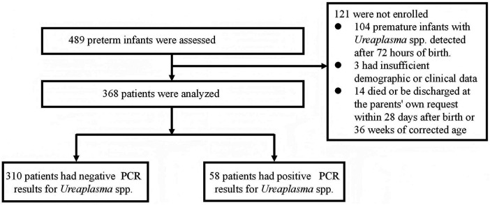 Figure 1