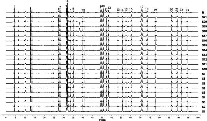 FIGURE 5