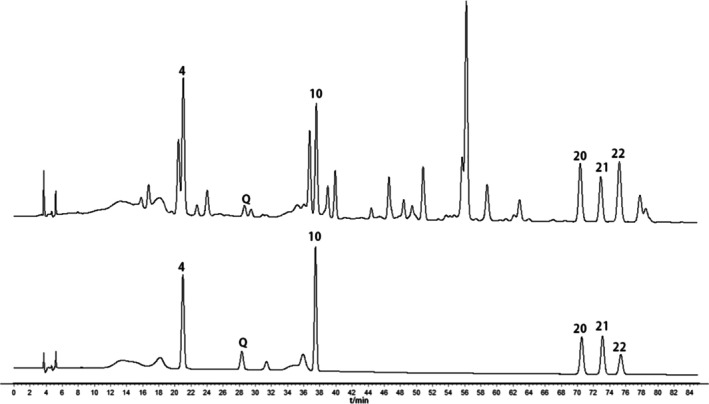 FIGURE 12