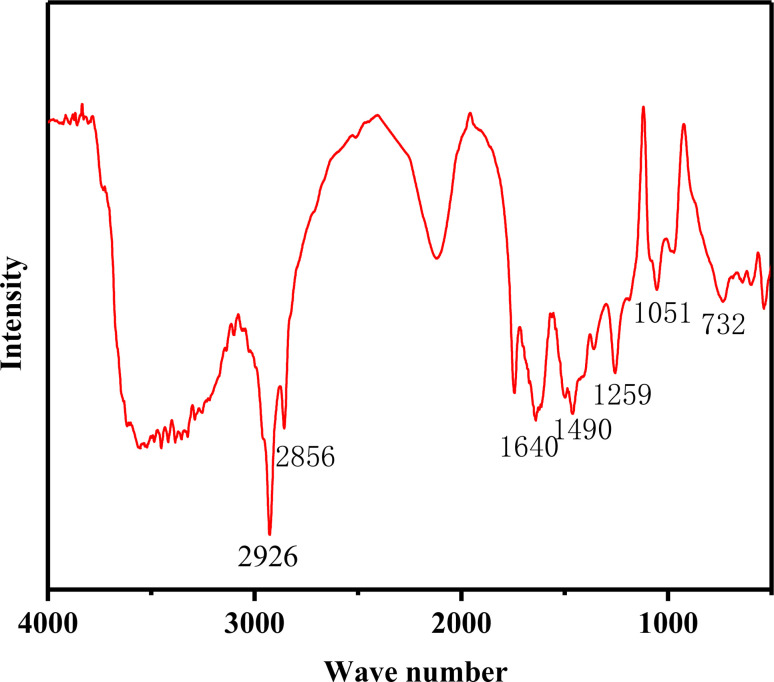 Fig. 3