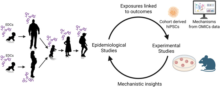 Figure 3