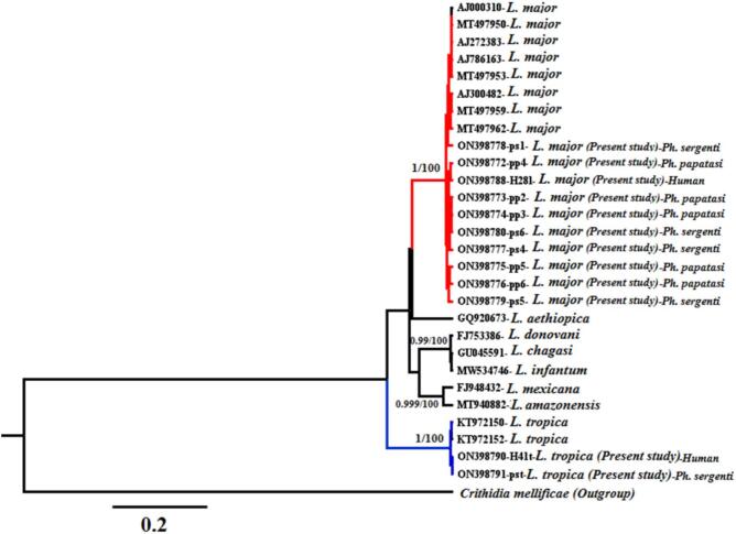 Figure 5