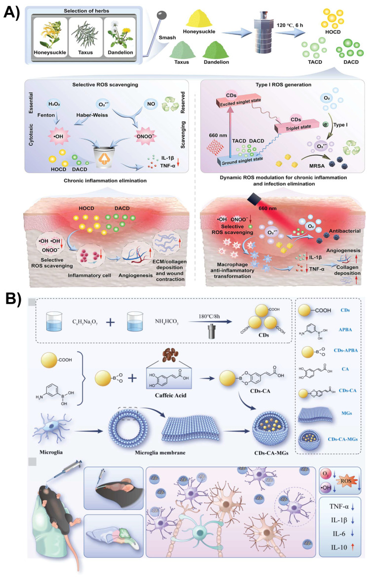 Figure 11