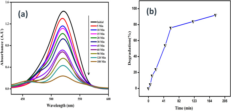 Figure 9