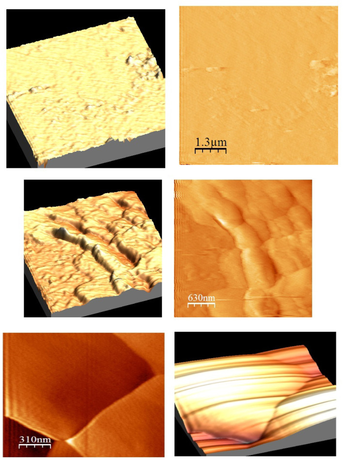 Figure 20