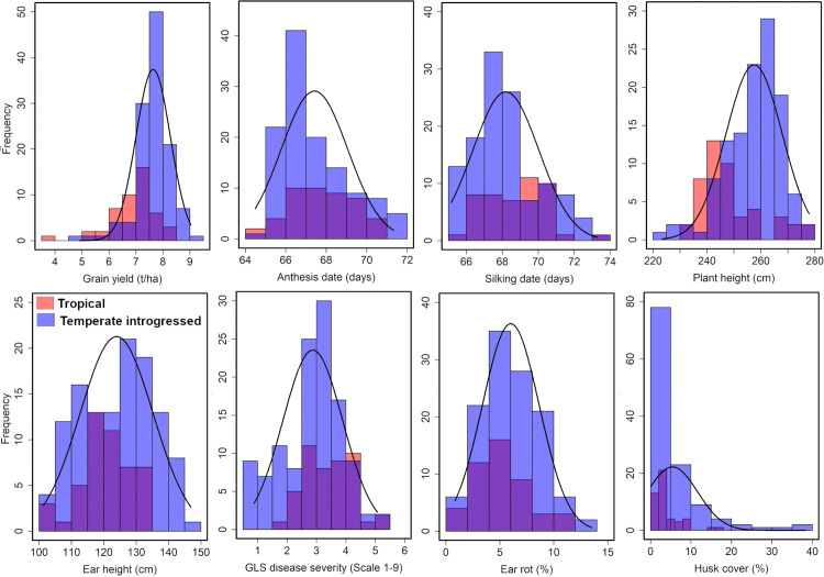 Figure 43