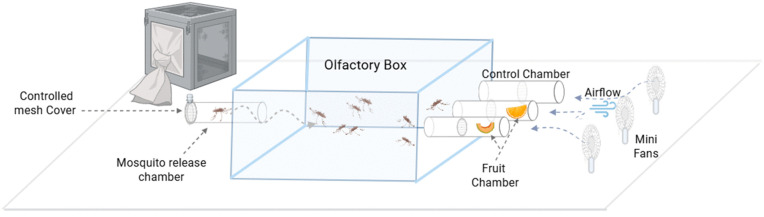 Figure 13