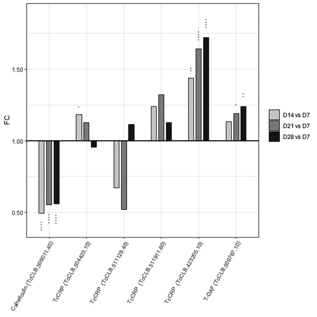 Figure 5