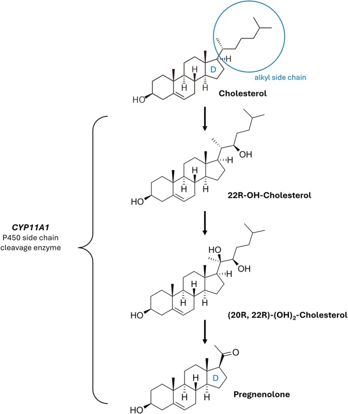Figure 10