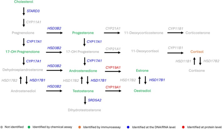 Figure 11
