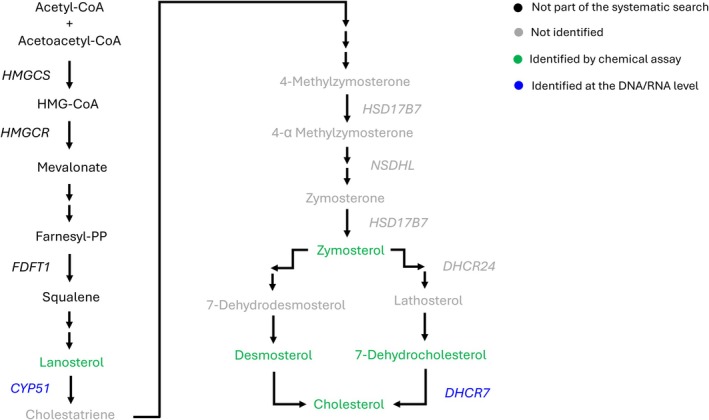 Figure 14