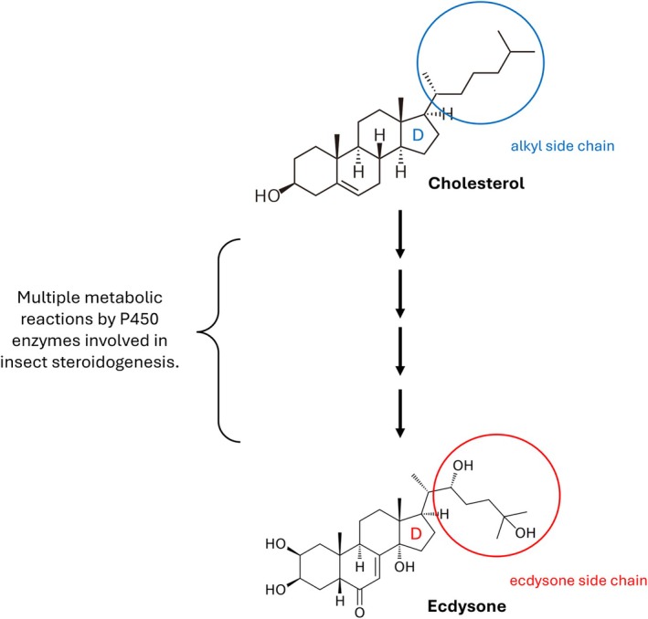 Figure 15