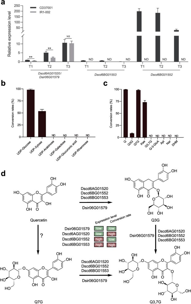 Figure 5