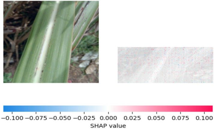 Figure 17
