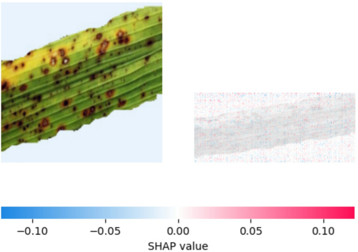 Figure 20
