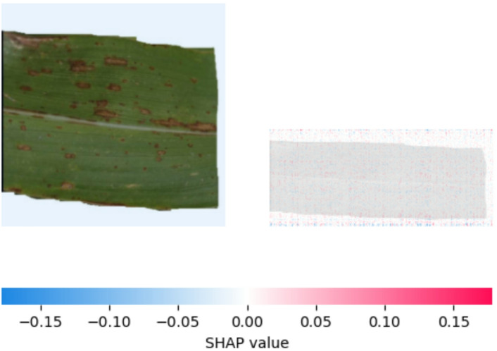 Figure 22