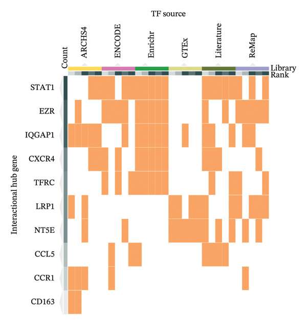 Figure 13