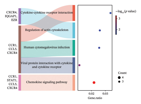 Figure 14
