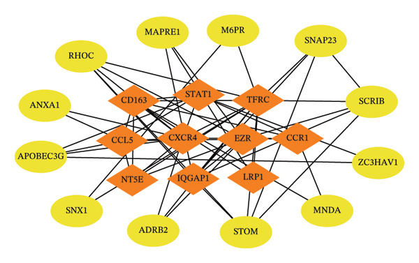Figure 15