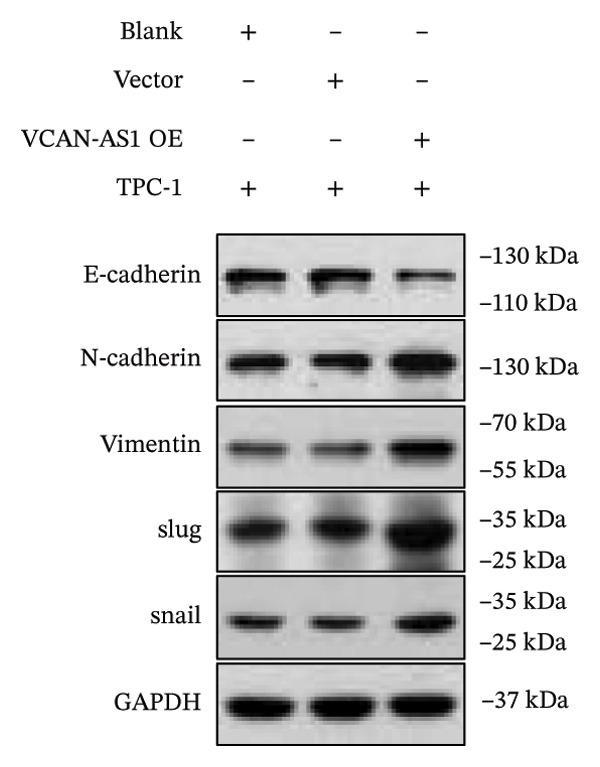 Figure 21