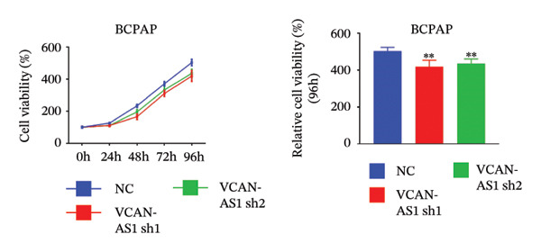 Figure 23