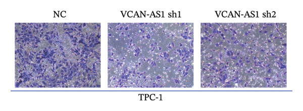 Figure 24