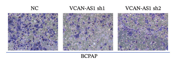 Figure 25