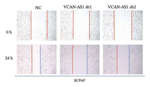 Figure 27