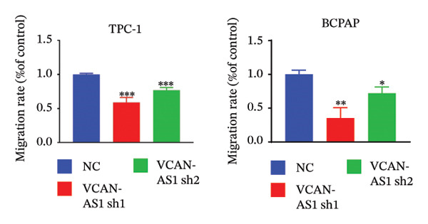 Figure 29
