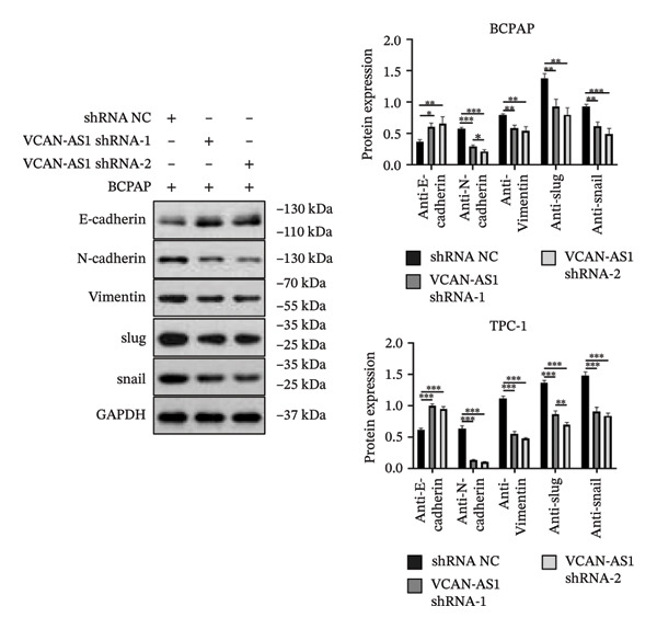 Figure 30