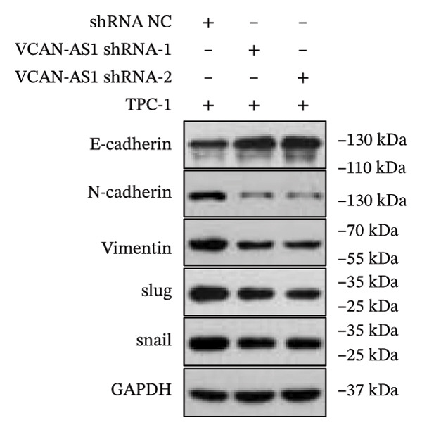 Figure 31