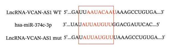 Figure 37